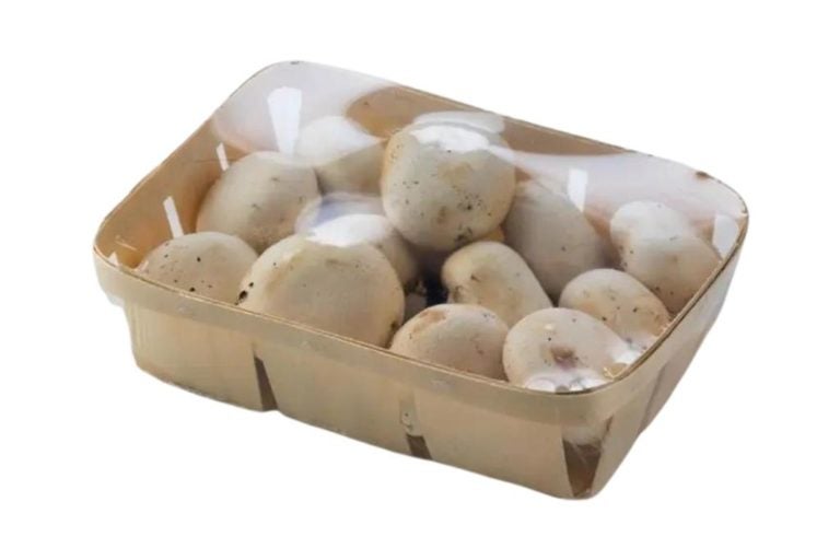 Automac 75 e 95 Teixpac embalagem cogumelo