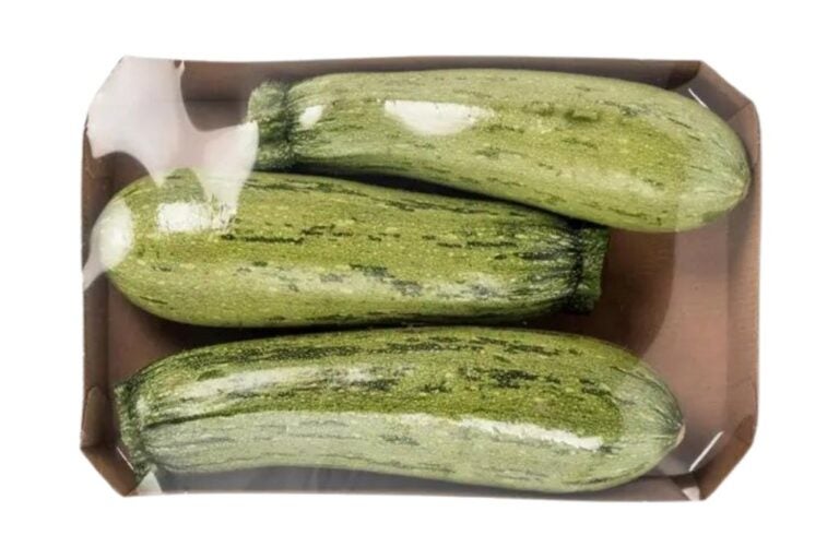 Bandeja de abobrinha